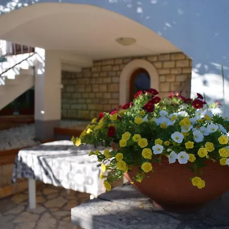 Vila Jelena - Studio For 2 To 3 Persons In Sv Filip I Jakov