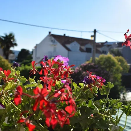 Vila Jelena - Studio For 2 To 3 Persons In Sv Filip I Jakov Sveti Filip i Jakov