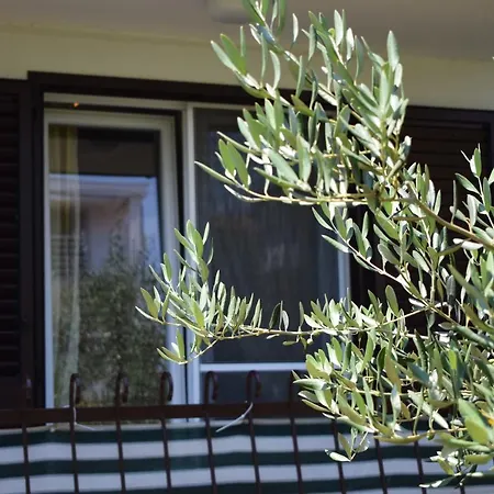 Maison d'hôtes Vila Jelena - Studio For 2 To 3 Persons In Sv Filip I Jakov Sveti Filip i Jakov
